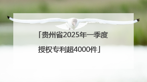 贵州省2025年一季度授权专利超4000件