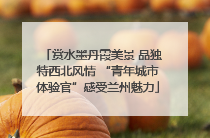 赏水墨丹霞美景 品独特西北风情 “青年城市体验官”感受兰州魅力