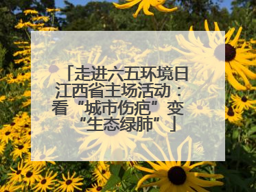 走进六五环境日江西省主场活动：看“城市伤疤”变“生态绿肺”