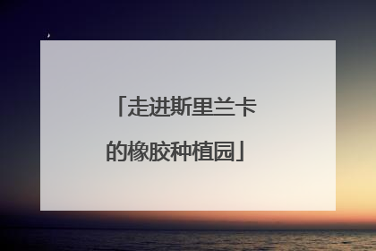 走进斯里兰卡的橡胶种植园
