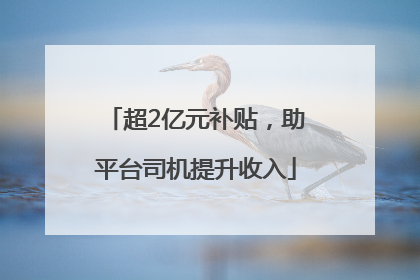 超2亿元补贴，助平台司机提升收入