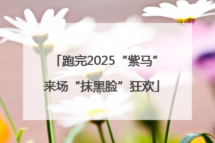 跑完2025“紫马” 来场“抹黑脸”狂欢