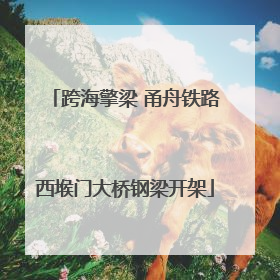 跨海擎梁 甬舟铁路西堠门大桥钢梁开架