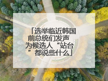 选举临近韩国前总统们发声 为候选人“站台”都说些什么
