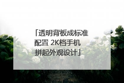 透明背板成标准配置 2K档手机拼起外观设计