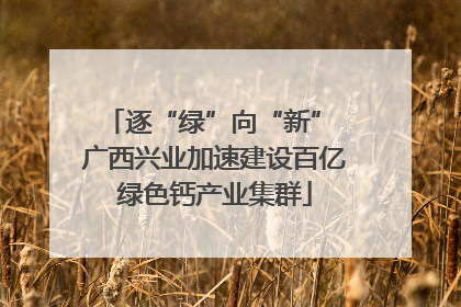 逐“绿”向“新” 广西兴业加速建设百亿绿色钙产业集群