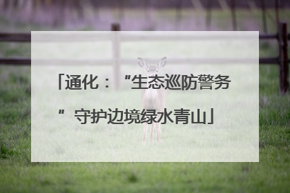 通化：“生态巡防警务”守护边境绿水青山
