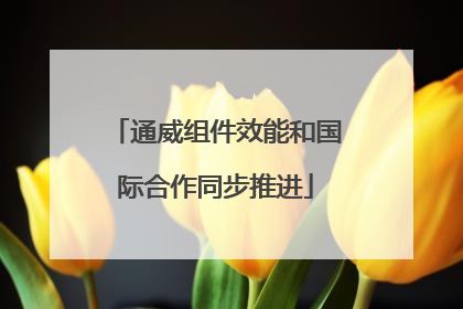 通威组件效能和国际合作同步推进