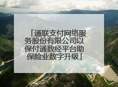 通联支付网络服务股份有限公司以保付通数经平台助保险业数字升级