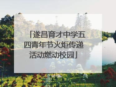 遂昌育才中学五四青年节火炬传递活动燃动校园
