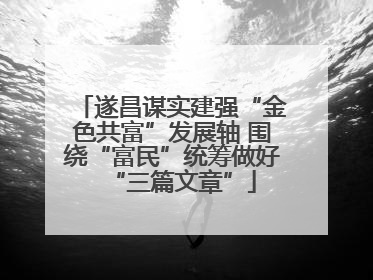 遂昌谋实建强“金色共富”发展轴 围绕“富民”统筹做好“三篇文章”