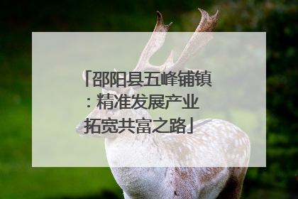 邵阳县五峰铺镇：精准发展产业 拓宽共富之路