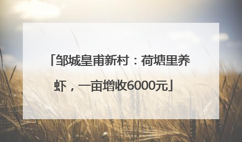 邹城皇甫新村：荷塘里养虾，一亩增收6000元