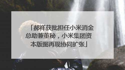 郝祥获批担任小米消金总助兼董秘，小米集团资本版图再现协同扩张