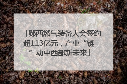郧西燃气装备大会签约超113亿元，产业“链”动中西部新未来