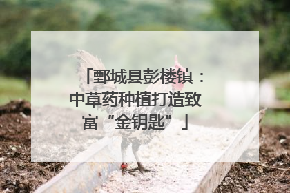 鄄城县彭楼镇：中草药种植打造致富“金钥匙”
