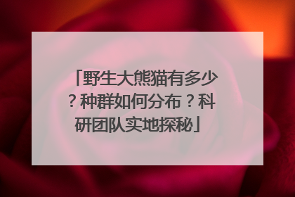 野生大熊猫有多少？种群如何分布？科研团队实地探秘