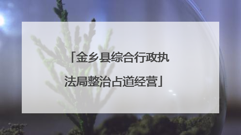 金乡县综合行政执法局整治占道经营