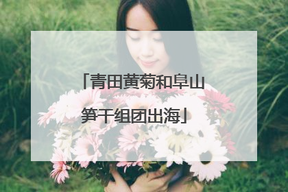 青田黄菊和阜山笋干组团出海