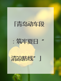 青岛动车段：筑牢夏日“清凉防线”