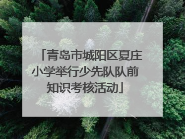 青岛市城阳区夏庄小学举行少先队队前知识考核活动