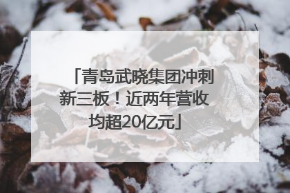青岛武晓集团冲刺新三板！近两年营收均超20亿元