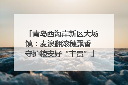 青岛西海岸新区大场镇：麦浪翻滚穗飘香 守护粮安好“丰景”