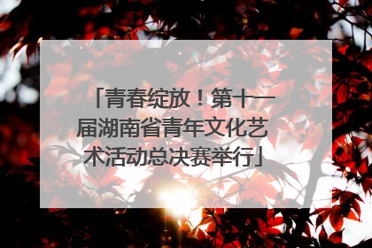 青春绽放！第十一届湖南省青年文化艺术活动总决赛举行