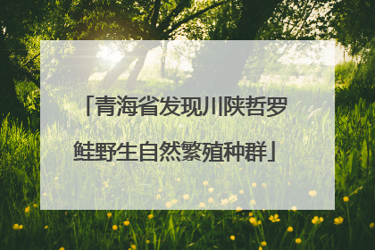 青海省发现川陕哲罗鲑野生自然繁殖种群