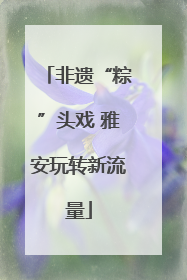 非遗“粽”头戏 雅安玩转新流量