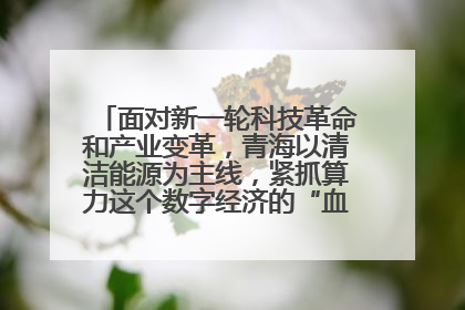 面对新一轮科技革命和产业变革，青海以清洁能源为主线，紧抓算力这个数字经济的“血液”、科技主权的“筹码”、产业升级的“杠杆”、绿色转型的“支点”，勇于撬动国家“双碳”战略、“东数西算”工程重大发展新机遇