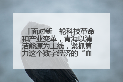 面对新一轮科技革命和产业变革,青海以清洁能源为主线,紧抓算力这个数字经济的“血液”、科技主权的“筹码”、产业升级的“杠杆”、绿色转型的“支点”,勇于撬动国家“双碳”战略、“东数西算”工程重大发展新机遇,点亮绿色算电协同新赛道,蹚出一条符合本地实际的高质量发展之路——青海:“绿色算力” 锚定“东数西算”国家战略布局