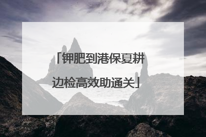 钾肥到港保夏耕 边检高效助通关