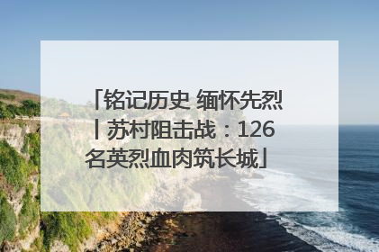 铭记历史 缅怀先烈丨苏村阻击战：126名英烈血肉筑长城