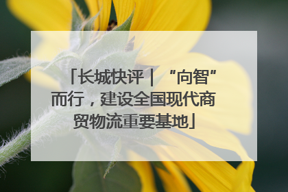 长城快评｜“向智”而行，建设全国现代商贸物流重要基地