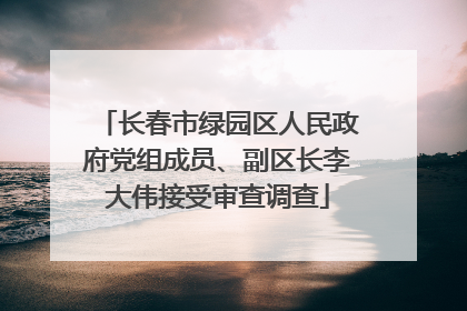 长春市绿园区人民政府党组成员、副区长李大伟接受审查调查