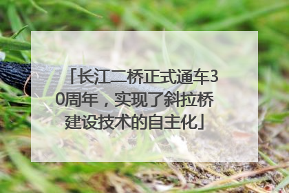 长江二桥正式通车30周年，实现了斜拉桥建设技术的自主化