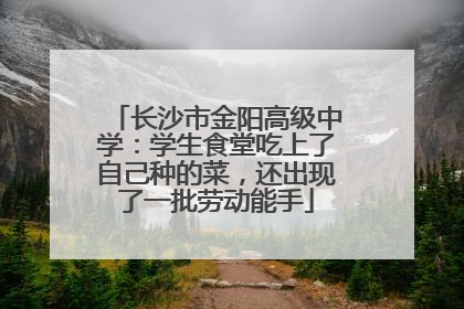 长沙市金阳高级中学：学生食堂吃上了自己种的菜，还出现了一批劳动能手
