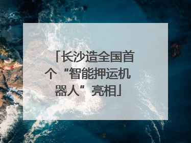 长沙造全国首个“智能押运机器人”亮相