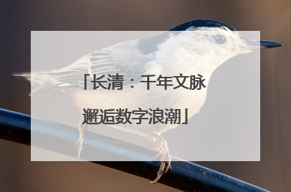 长清：千年文脉邂逅数字浪潮