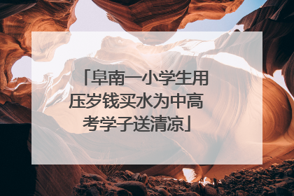 阜南一小学生用压岁钱买水为中高考学子送清凉
