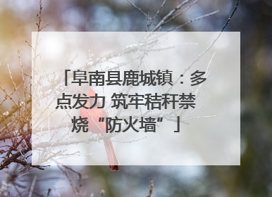 阜南县鹿城镇：多点发力 筑牢秸秆禁烧“防火墙”