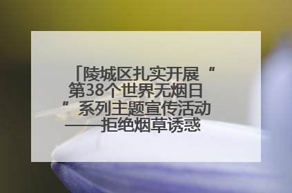 陵城区扎实开展“第38个世界无烟日”系列主题宣传活动——拒绝烟草诱惑 对第一支烟说不