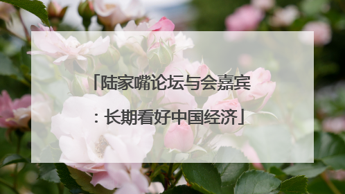 陆家嘴论坛与会嘉宾：长期看好中国经济