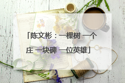 陈文彬：一棵树 一个庄 一块碑 一位英雄
