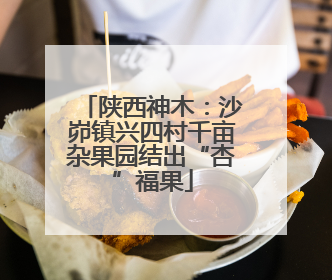 陕西神木：沙峁镇兴四村千亩杂果园结出“杏”福果