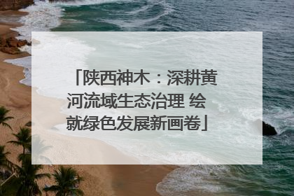 陕西神木：深耕黄河流域生态治理 绘就绿色发展新画卷