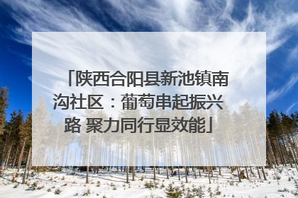 陕西合阳县新池镇南沟社区：葡萄串起振兴路 聚力同行显效能