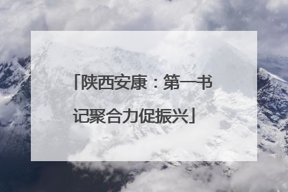 陕西安康：第一书记聚合力促振兴