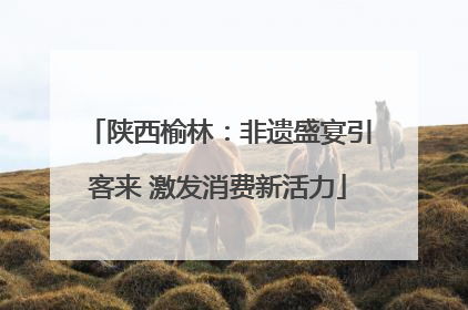 陕西榆林：非遗盛宴引客来 激发消费新活力